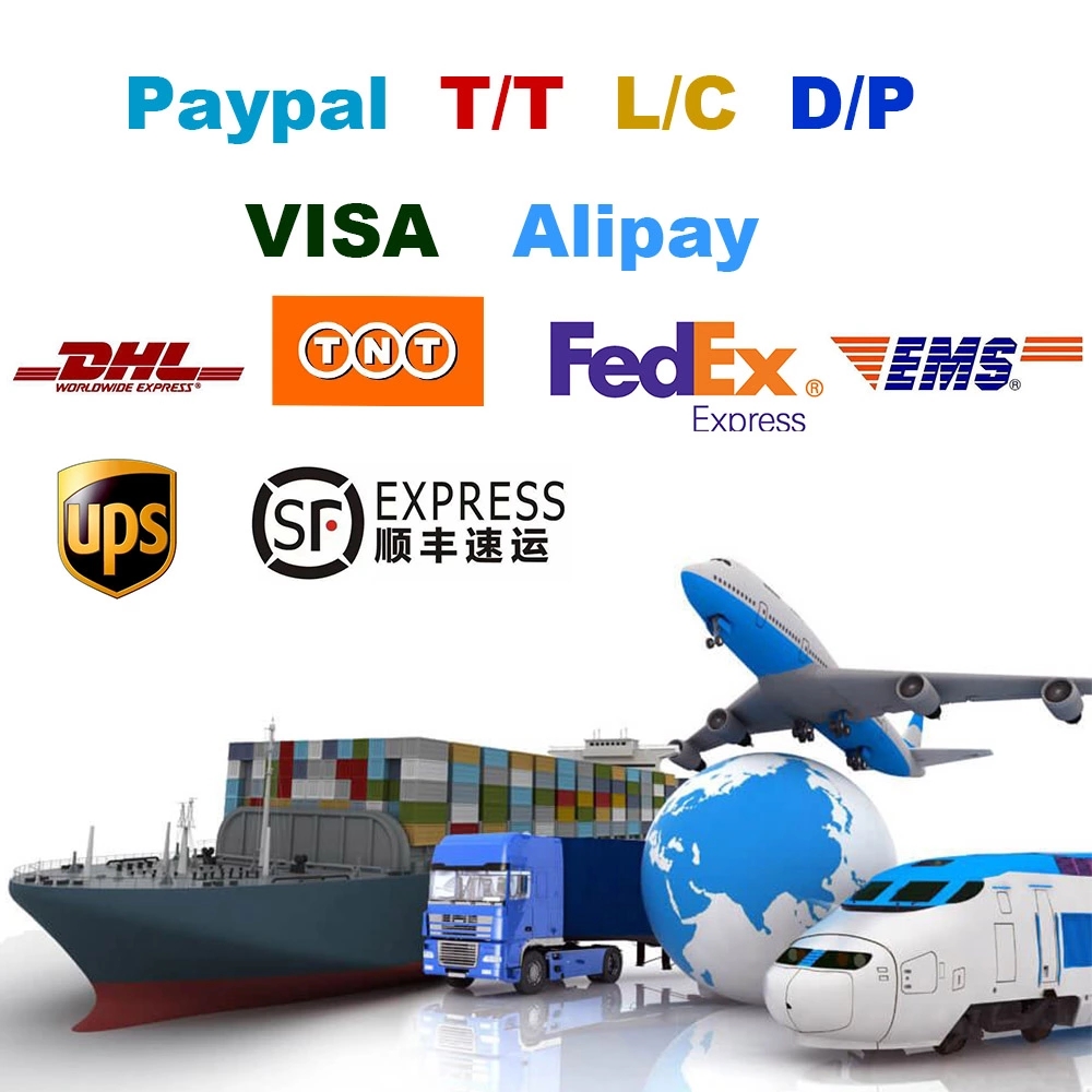 Payment & Shipping