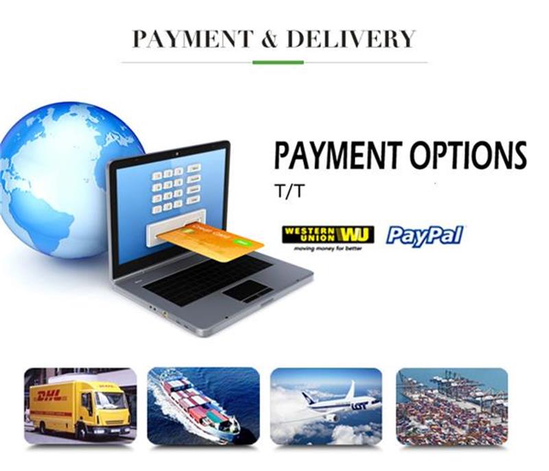 Payment and delivery