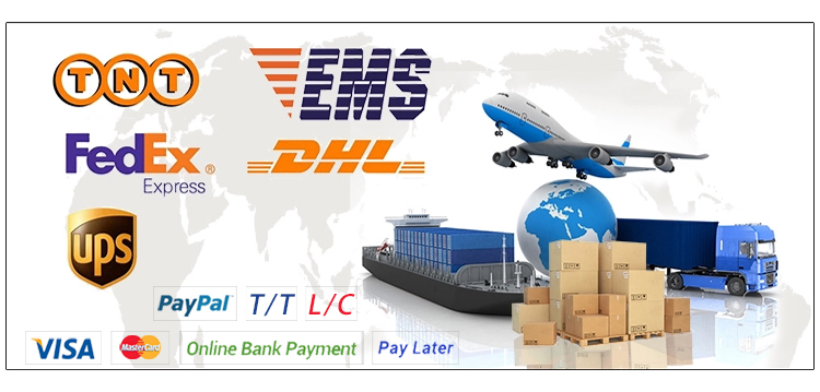 Payment and shipping